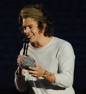 Harry Styles supports gay footballer Michael Sam in St Louis Rams