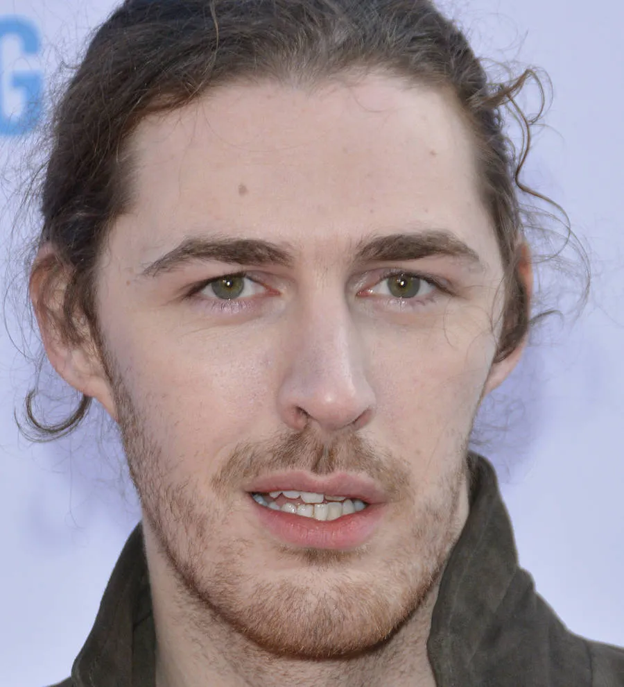 Hozier files defamation suit over plagiarism allegations | Young Hollywood
