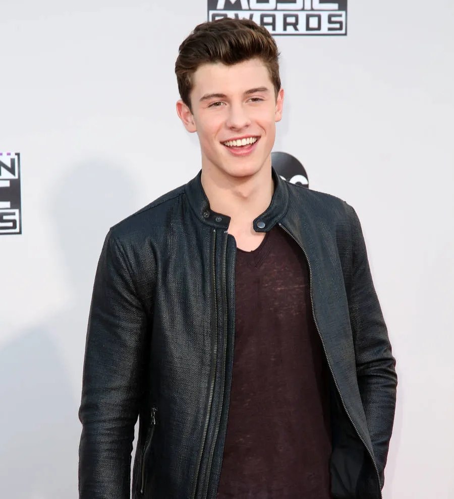 OMG, I Just Realized Shawn Mendes Has An Outrageous Celeb Lookalike