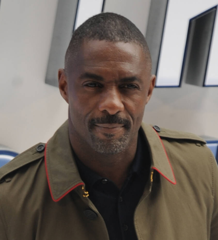 Idris Elba's Bastille Day movie pulled from French cinemas