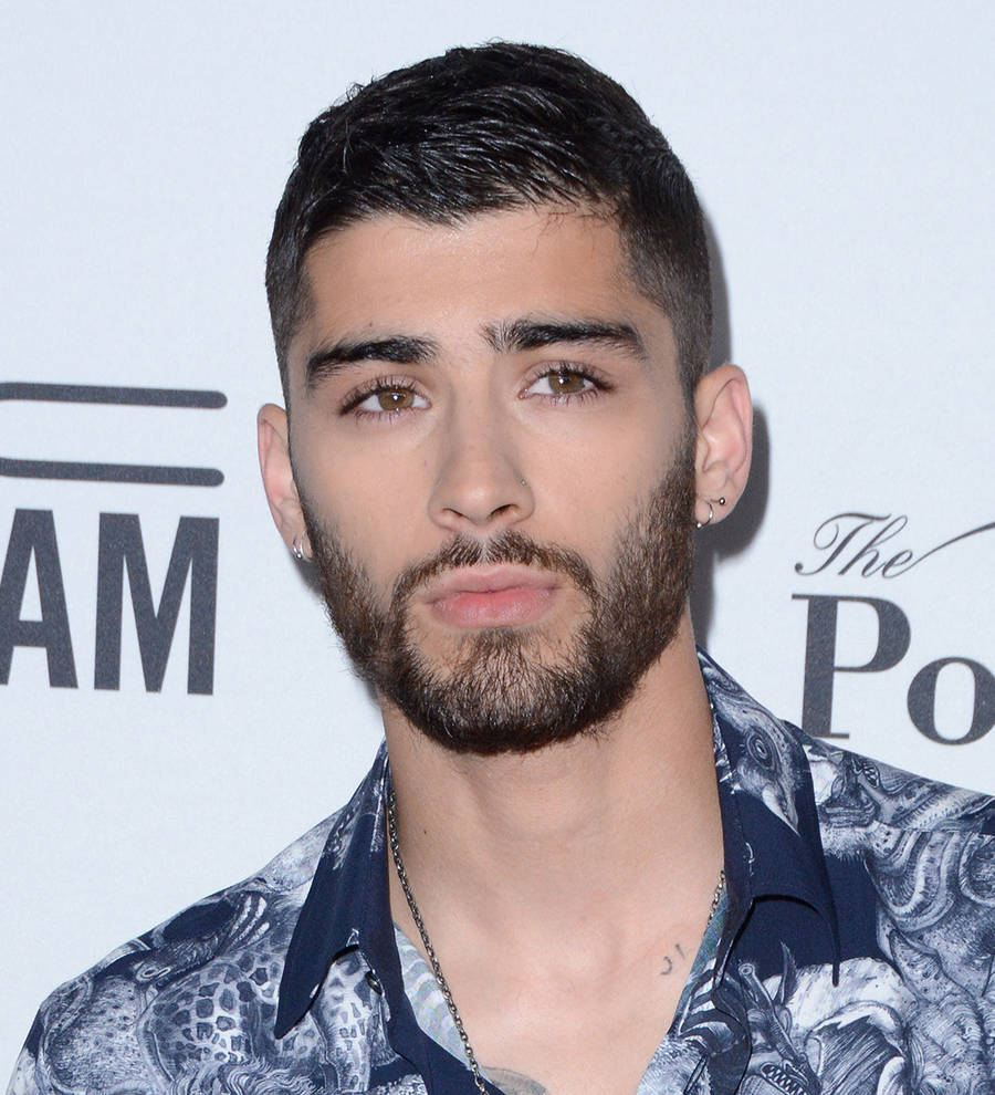 Zayn Malik to appear in his boyband TV series - report | Young Hollywood