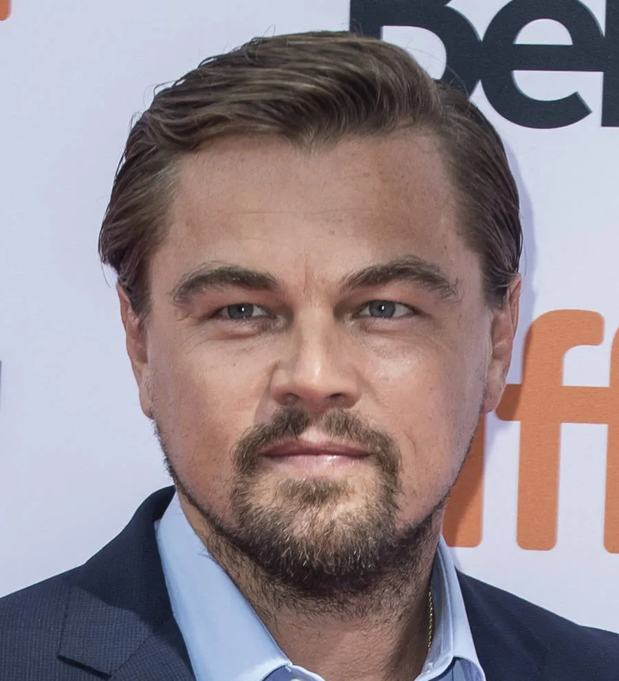 Leonardo DiCaprio investing in sustainable frozen food firm | Young ...