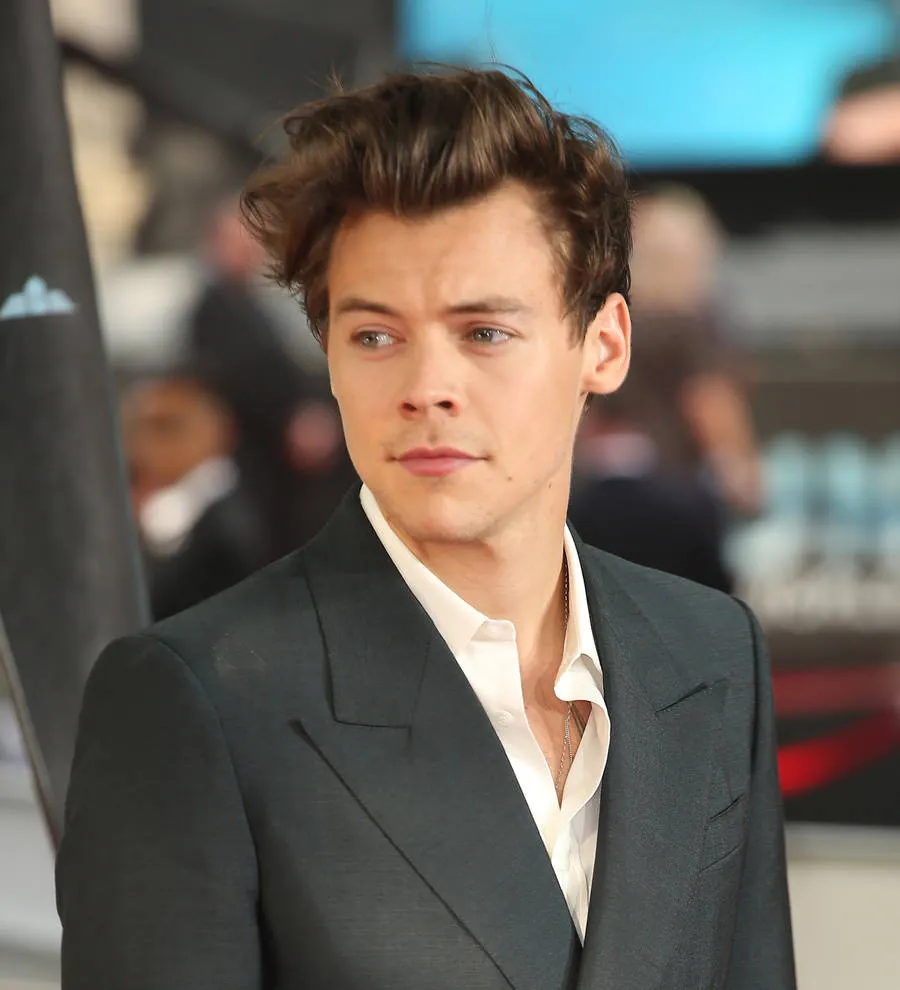 Harry Styles: 'i Have Four Nipples' 