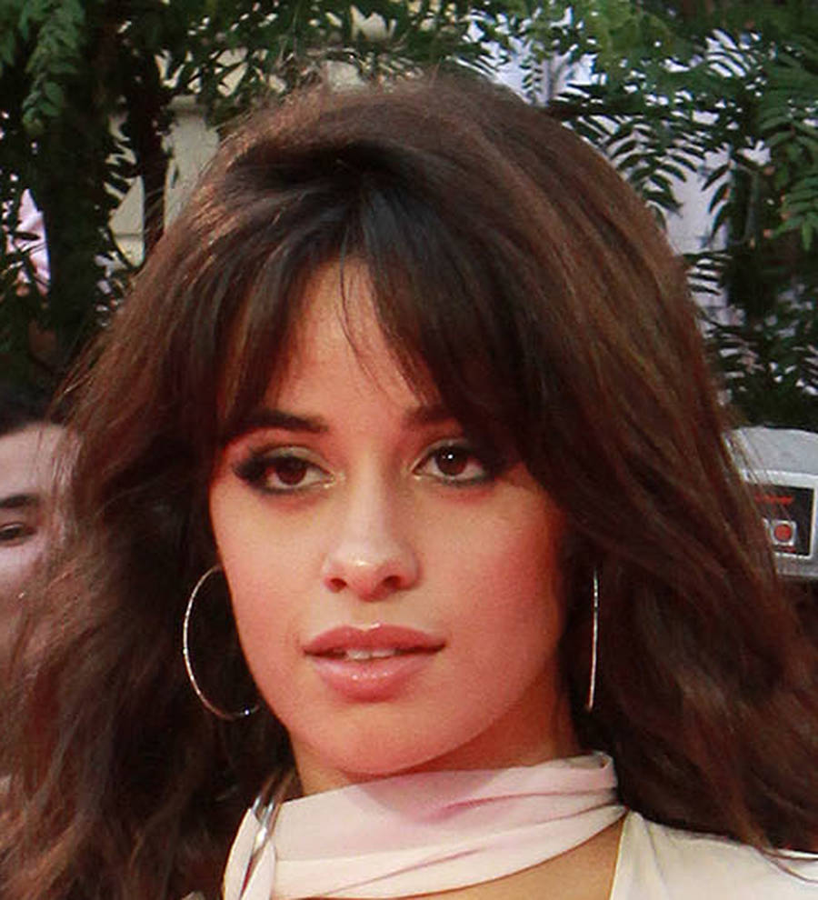 camila cabello fifth harmony members