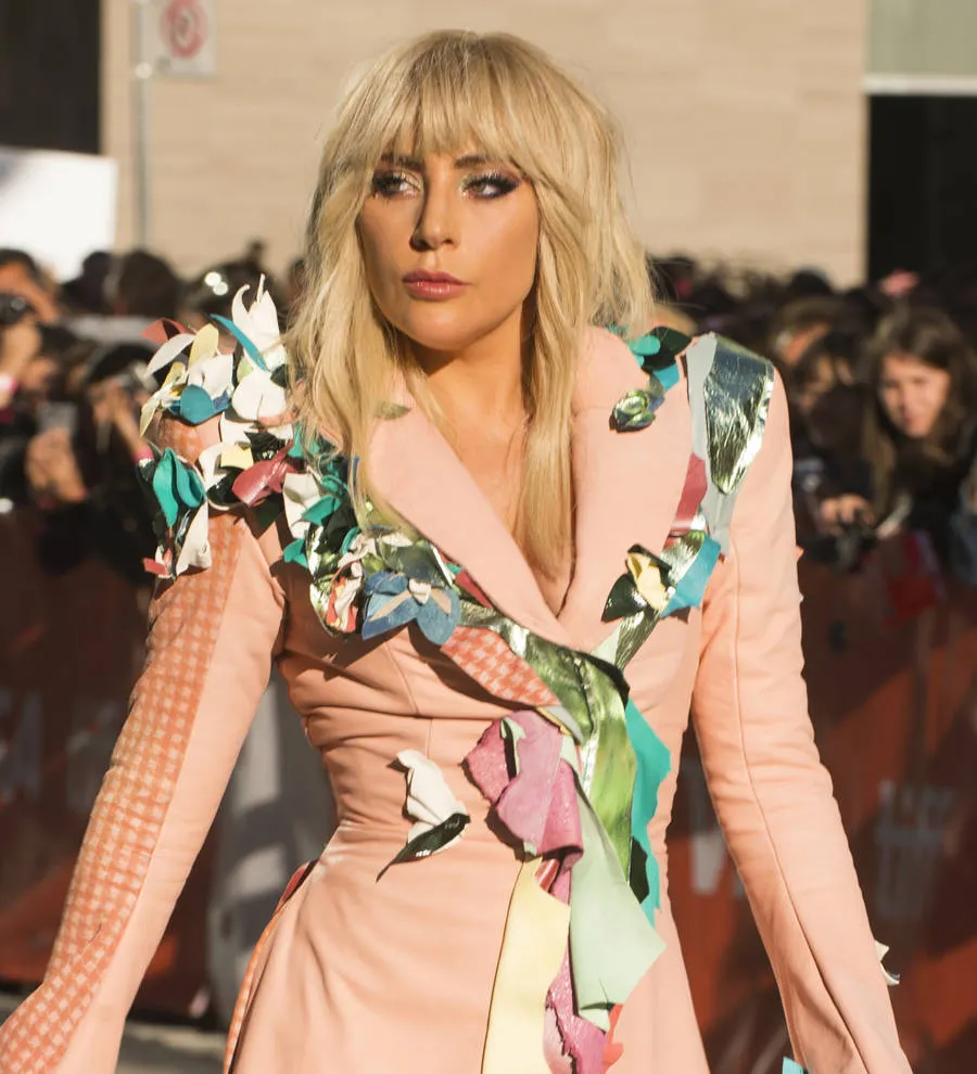 Lady Gaga stops concert to help bleeding fan Young Hollywood