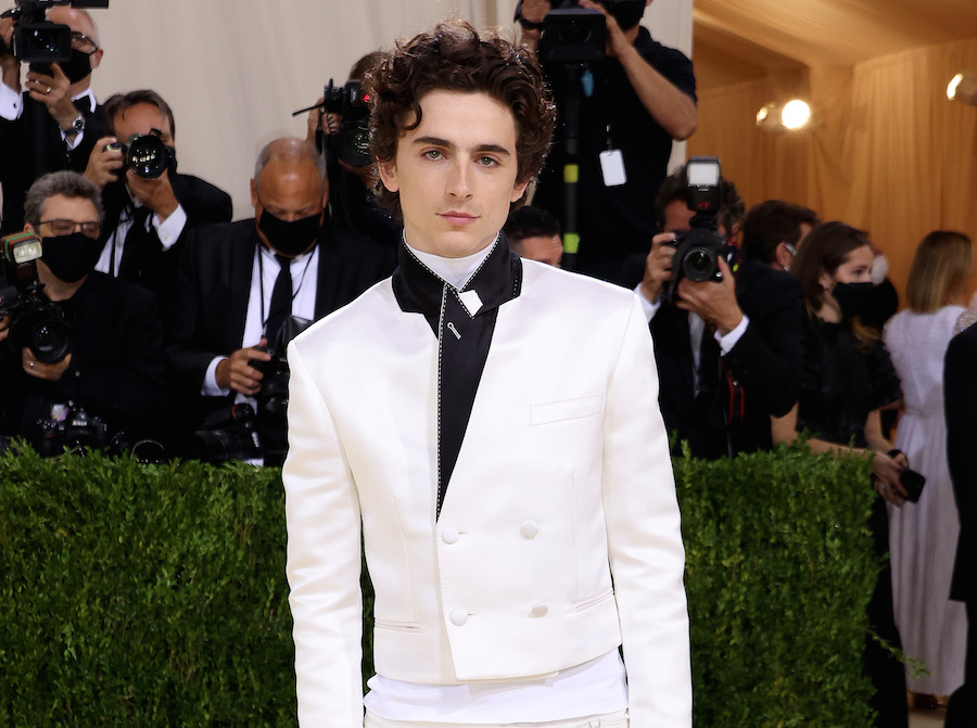 Timothée Chalamet Returns to the Red Carpet in a Very Shiny Suit